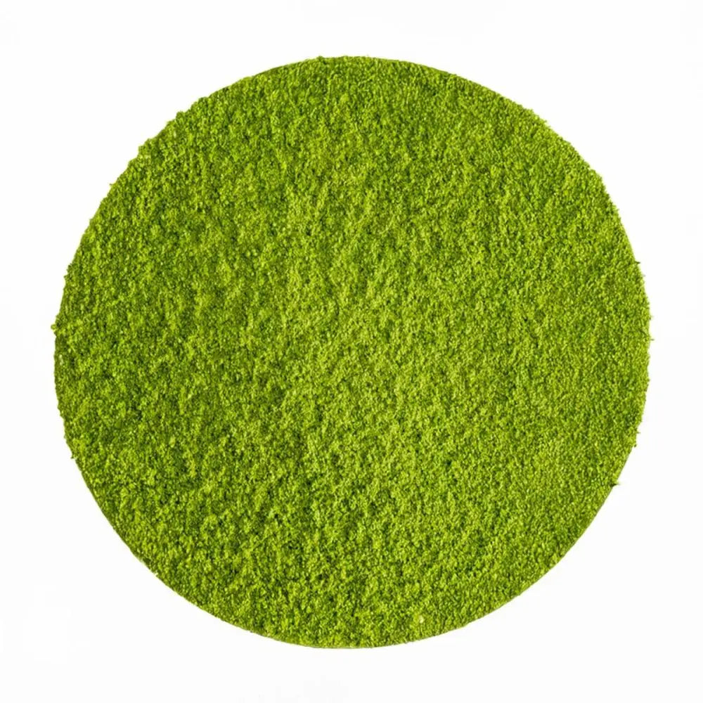 Japan Matcha ’Hisui’